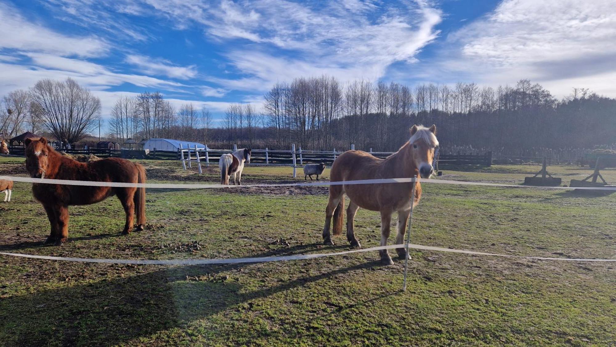Rancho Colorado Villa Trzciel Buitenkant foto