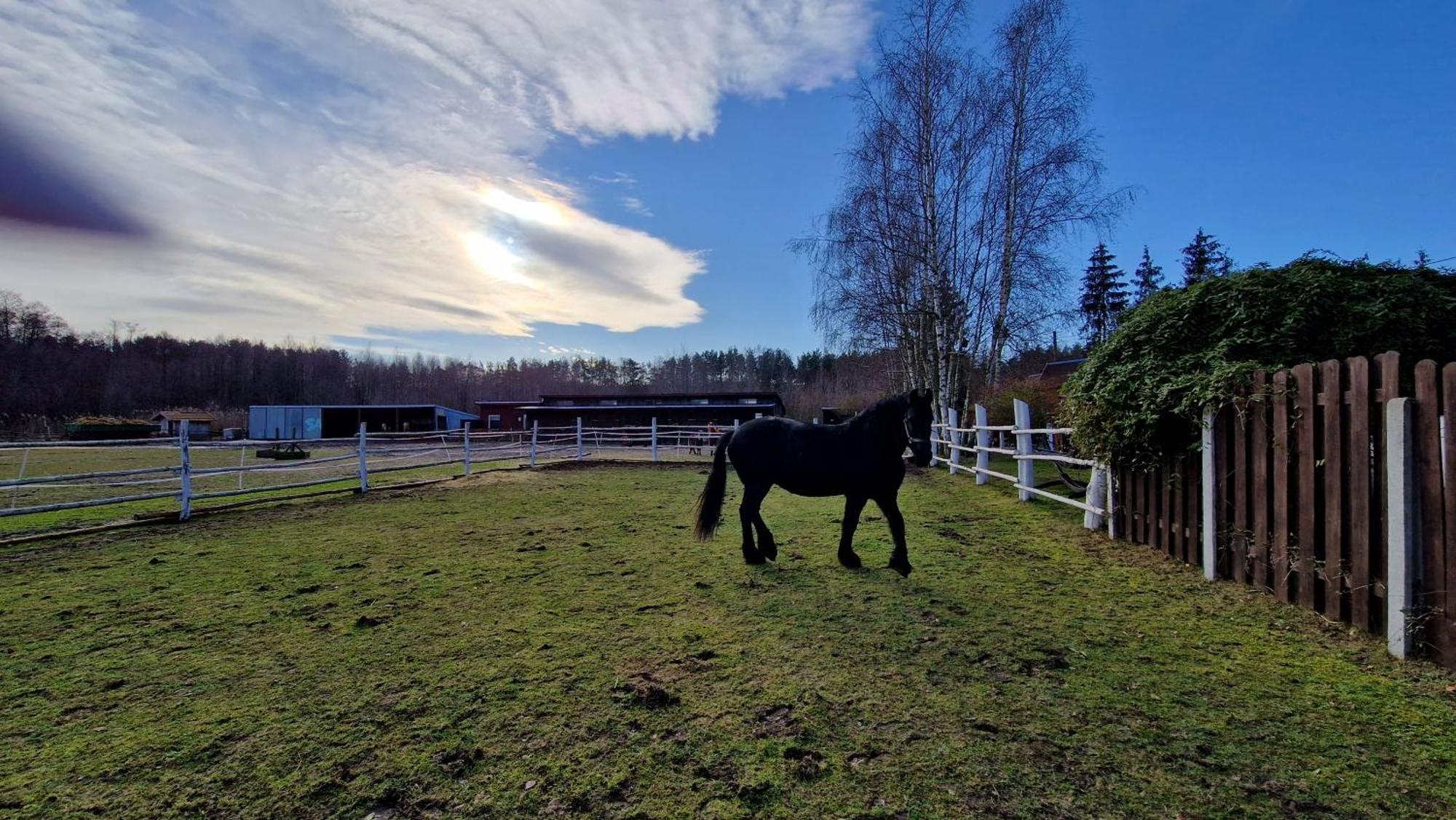 Rancho Colorado Villa Trzciel Buitenkant foto