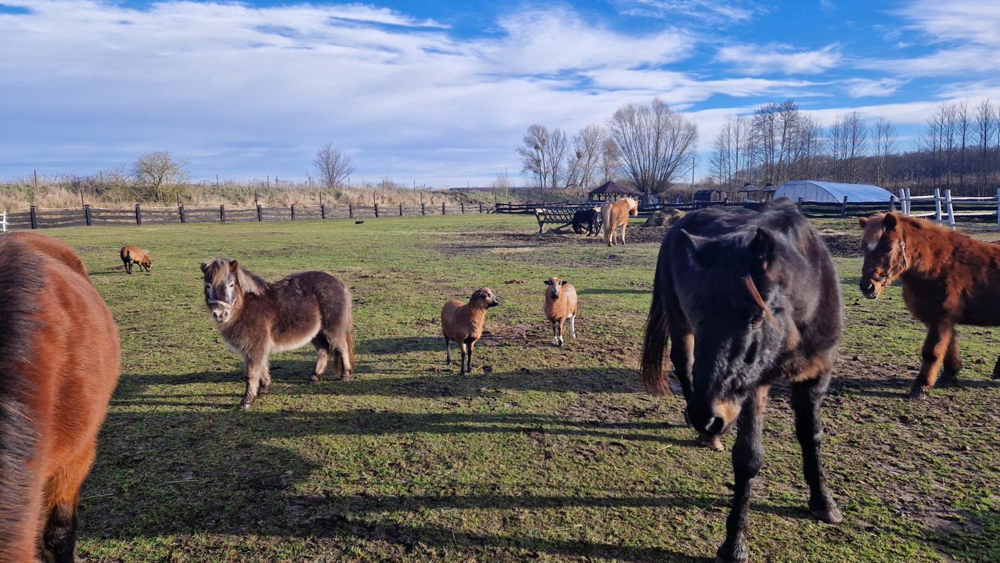 Rancho Colorado Villa Trzciel Buitenkant foto