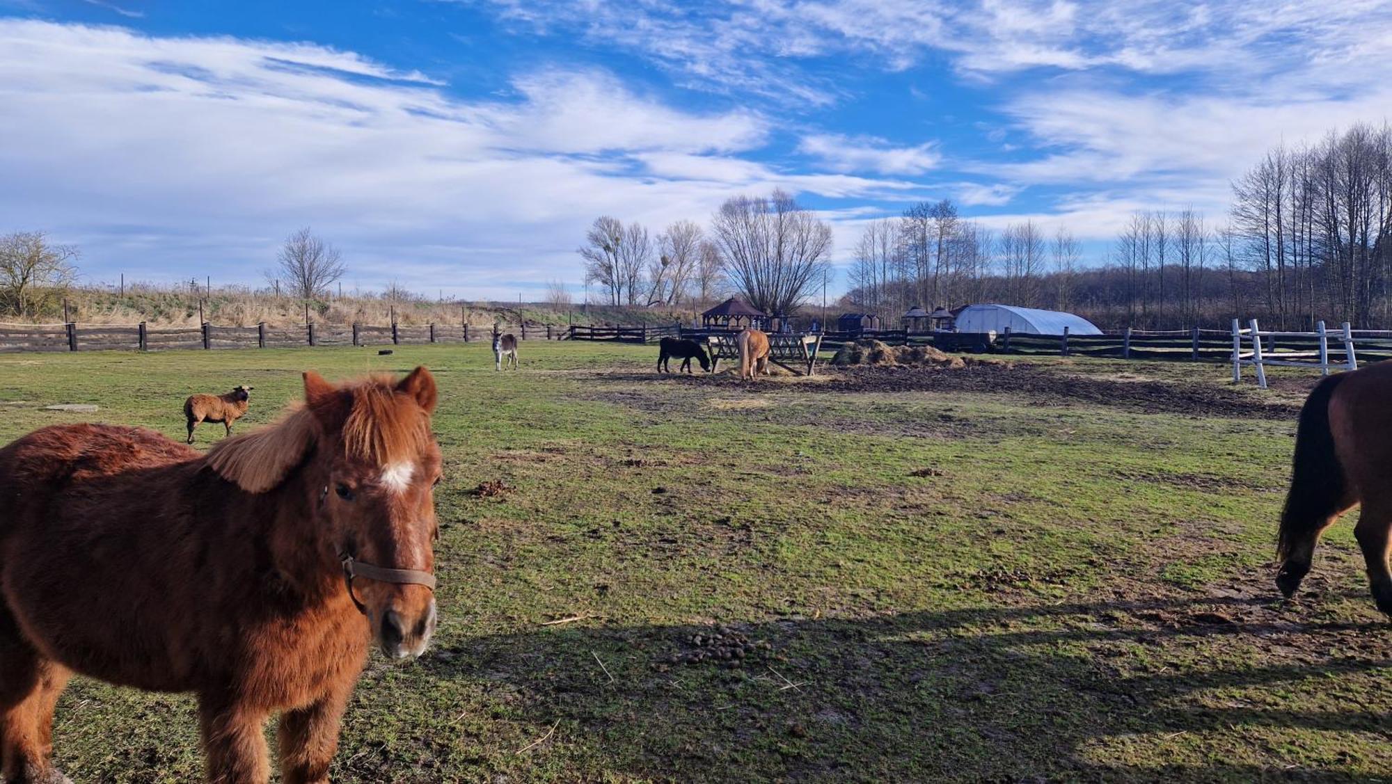 Rancho Colorado Villa Trzciel Buitenkant foto