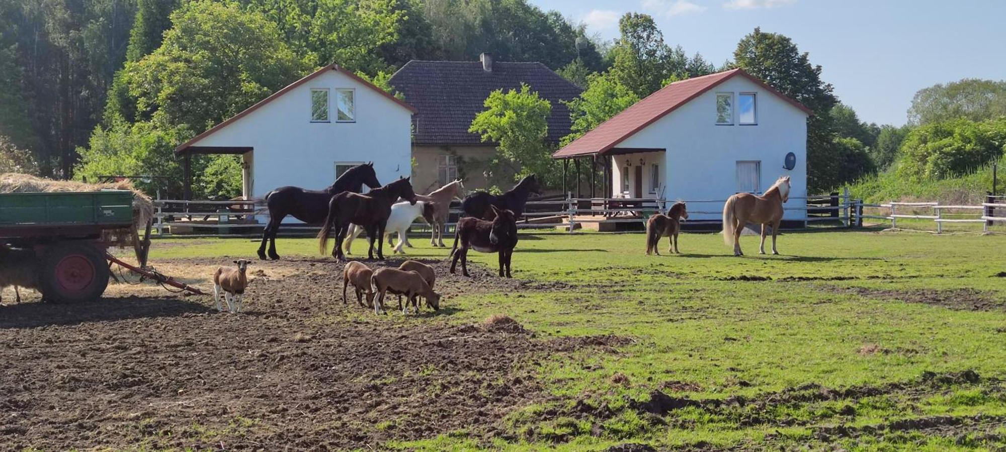 Rancho Colorado Villa Trzciel Buitenkant foto
