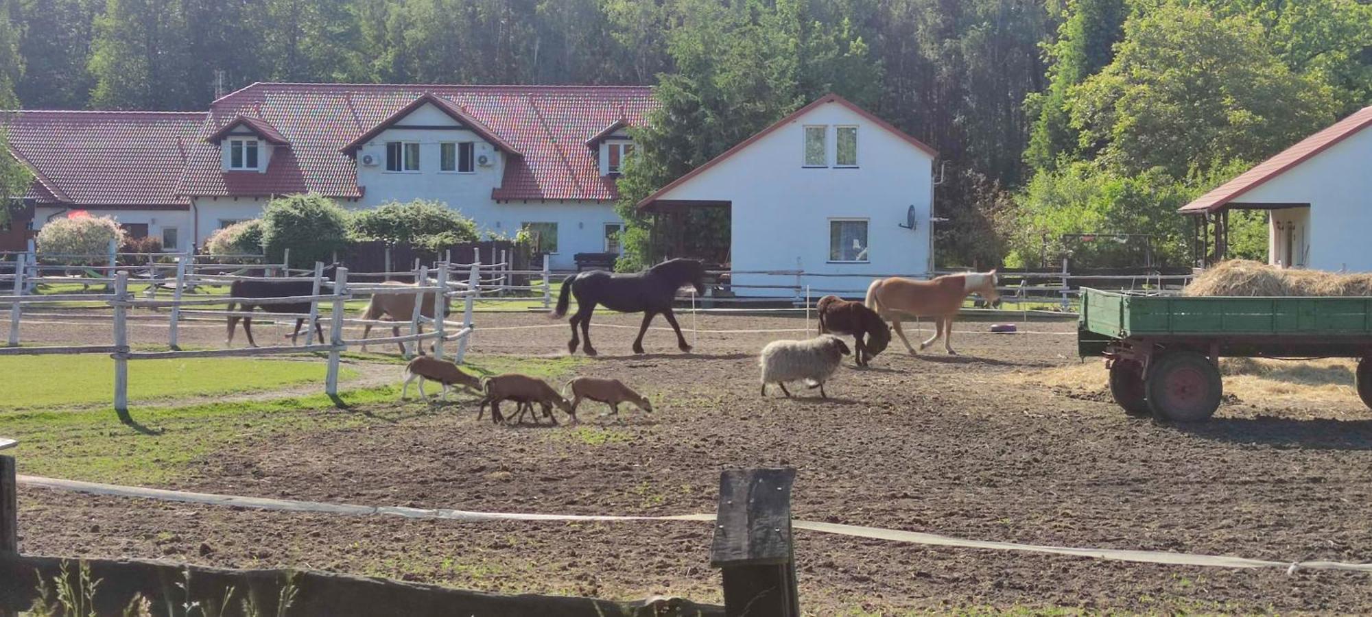 Rancho Colorado Villa Trzciel Buitenkant foto